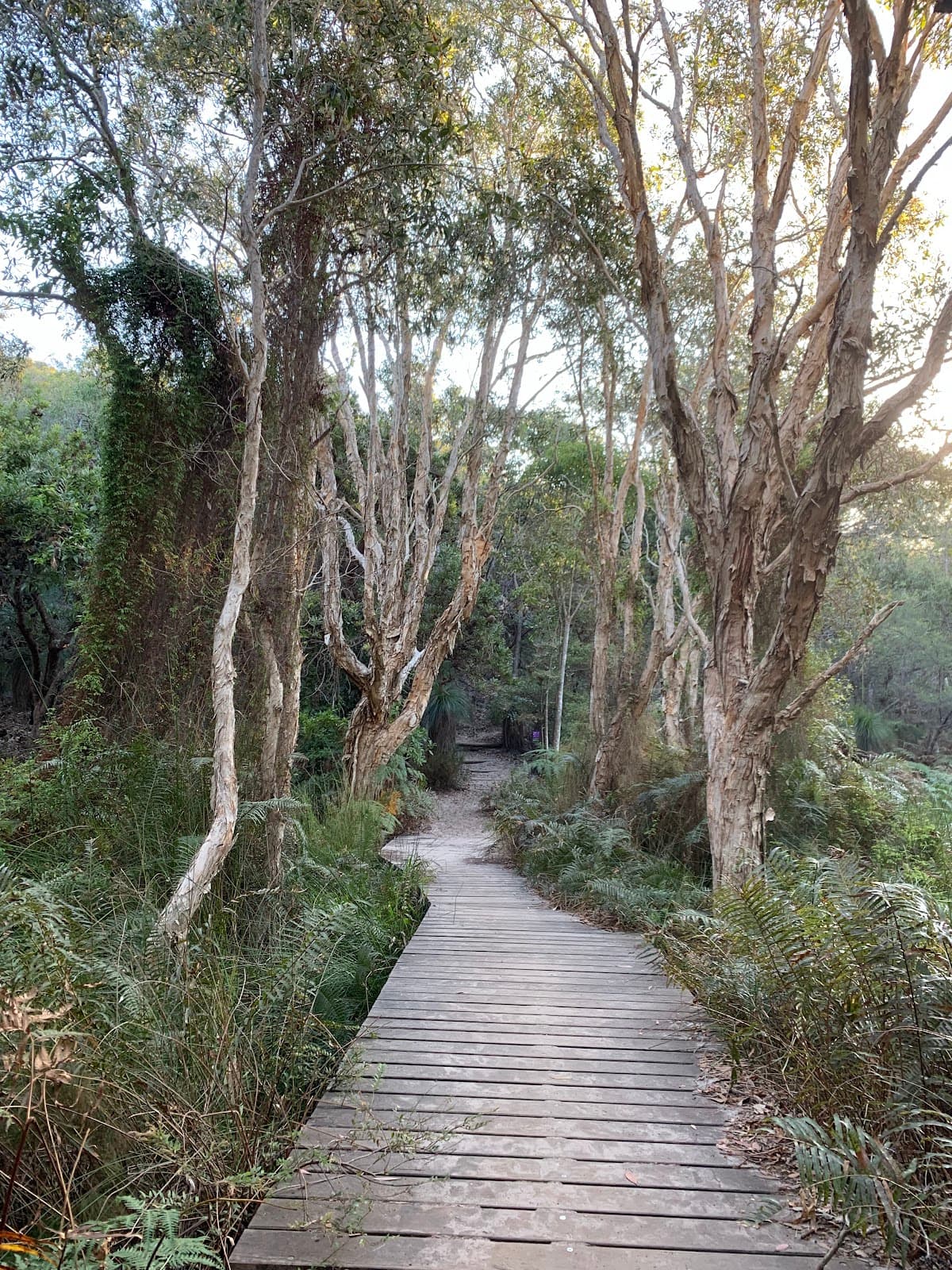 Alexandria Bay photo 5