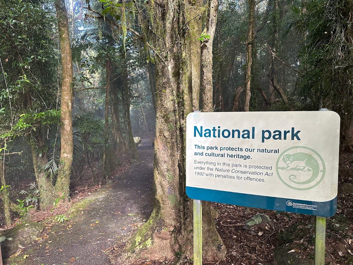 Best of All Lookout photo 5