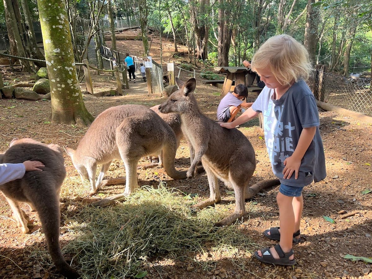 Byron Bay Wildlife Sanctuary photo 4