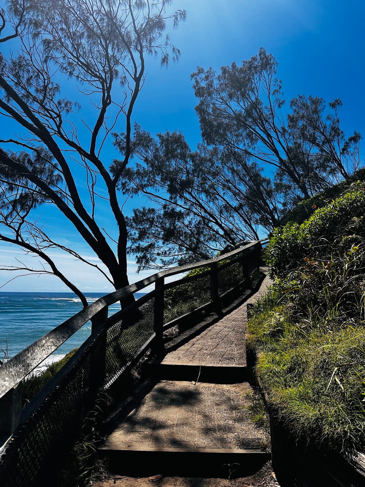 Captain Cook Lookout & Picnic Area photo 3