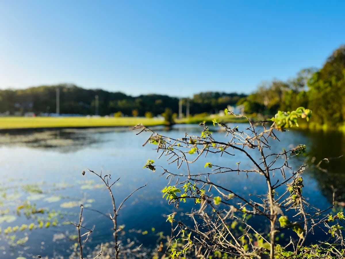 Coplick Family Sports Park photo 3