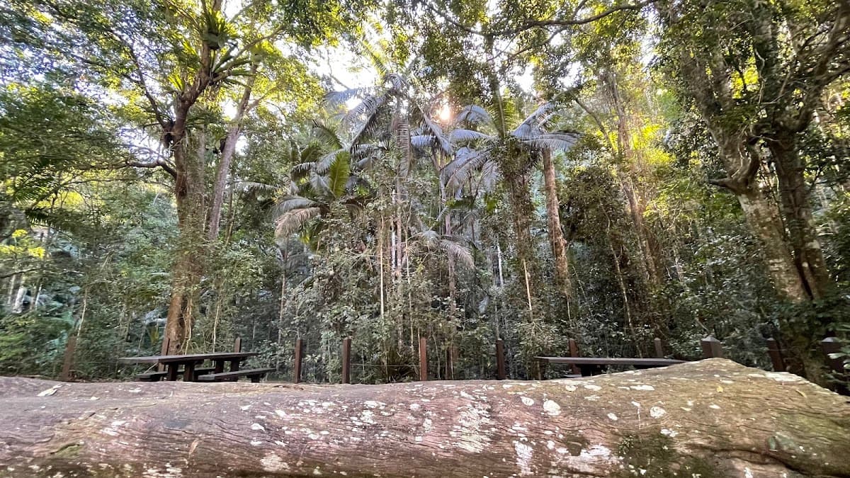 Cougal Cascade photo 5