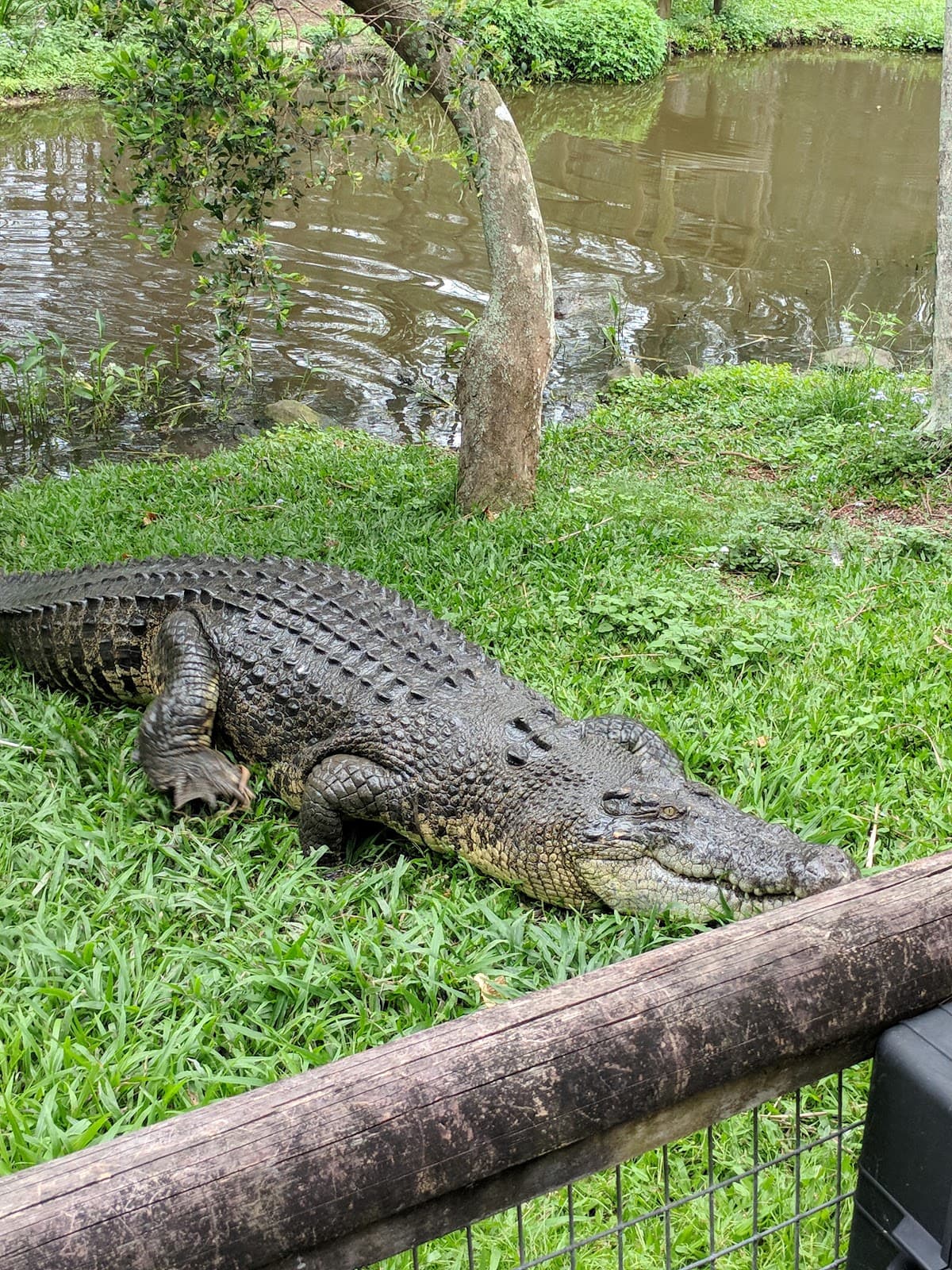 David Fleay Wildlife Park