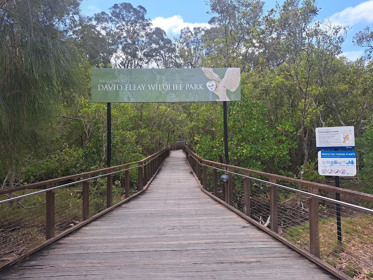 David Fleay Wildlife Park photo 5