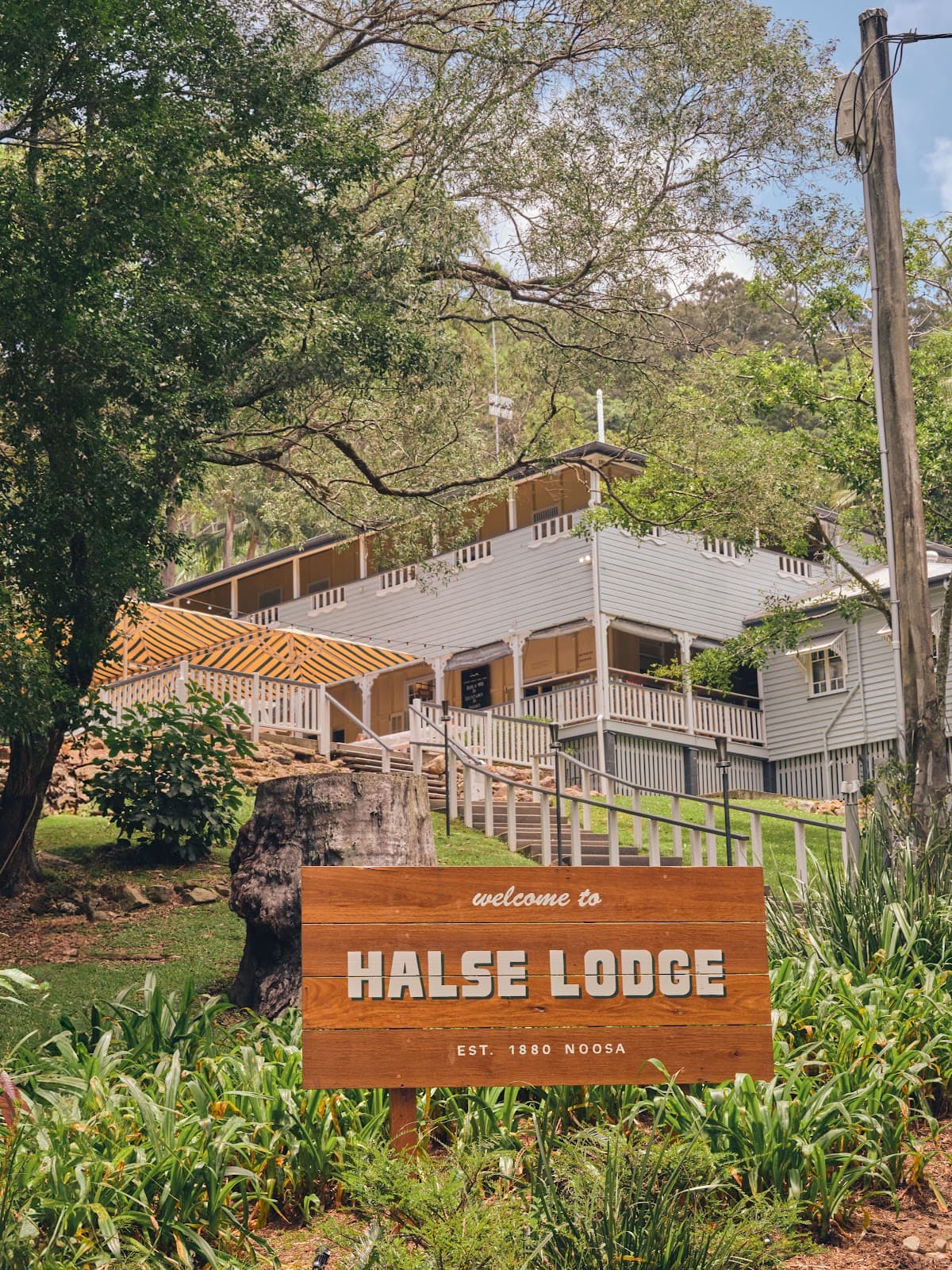 Halse Lodge Noosa Heads photo 4