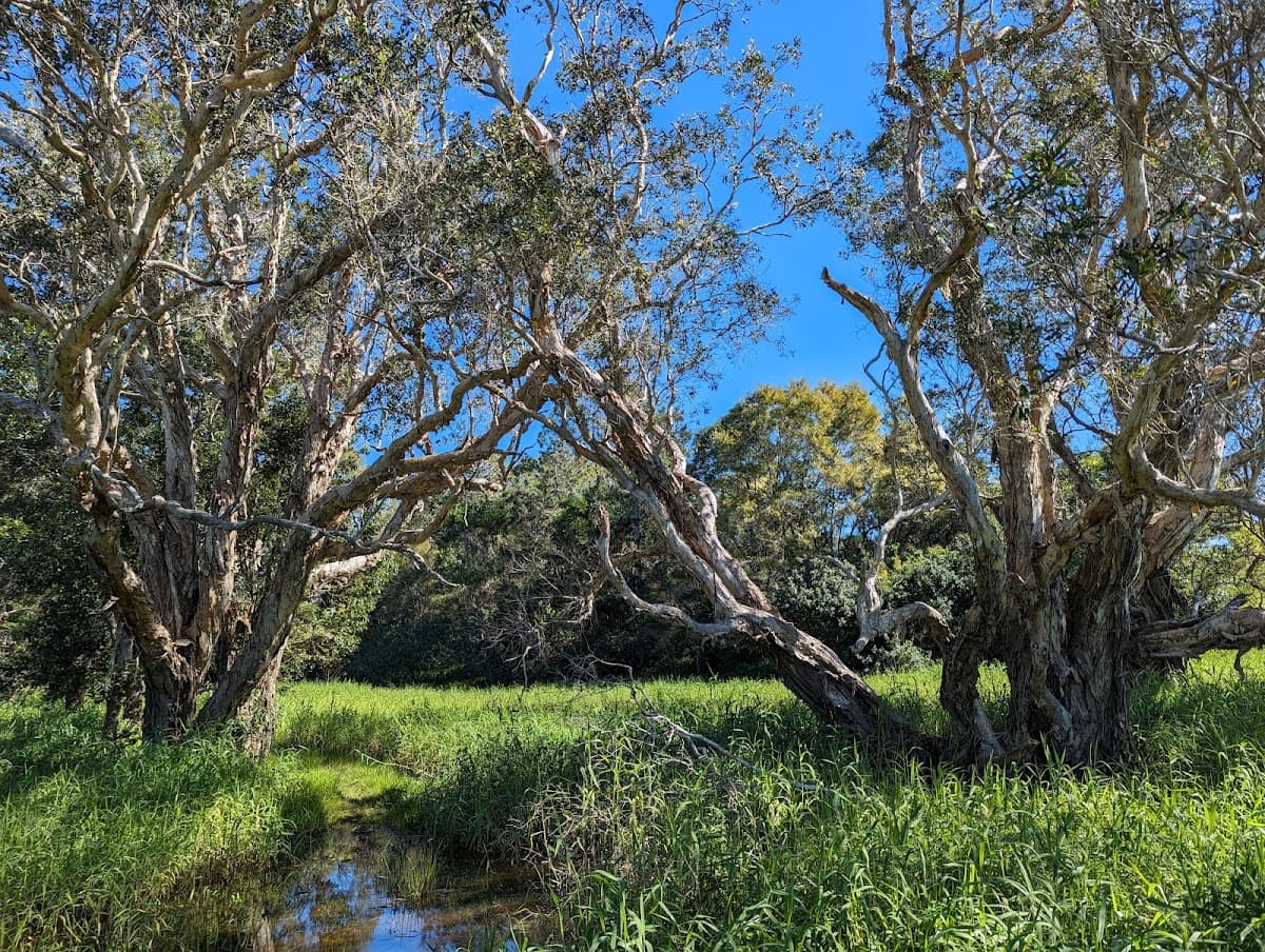 Hinterland Regional Park photo 3