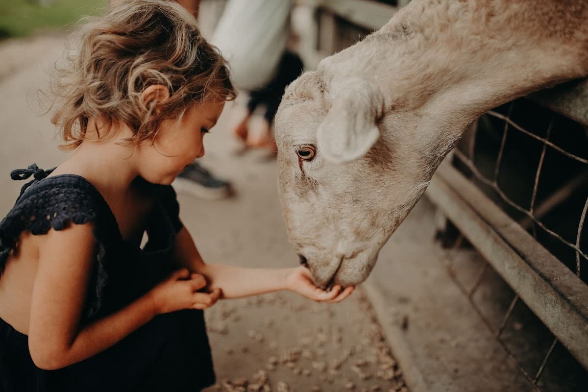 Hosanna Farmstay photo 5