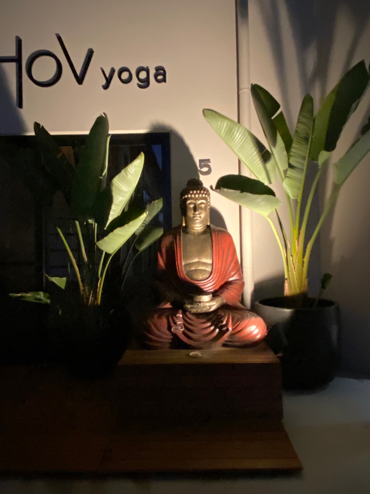 HOV Yoga - Heart of Vinyāsa photo 4