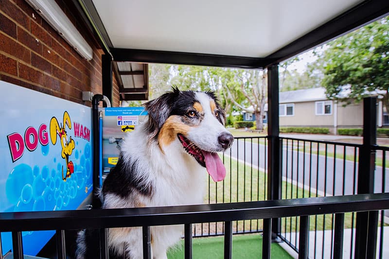 Kirra Beach Tourist Park photo 5