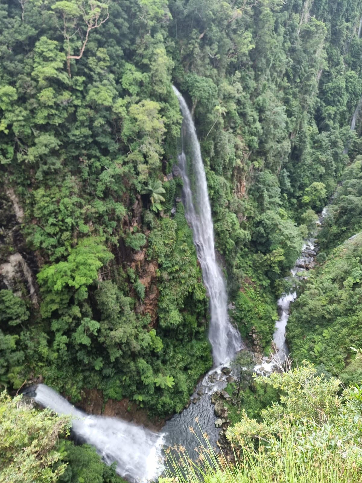 Lamington National Park photo 2