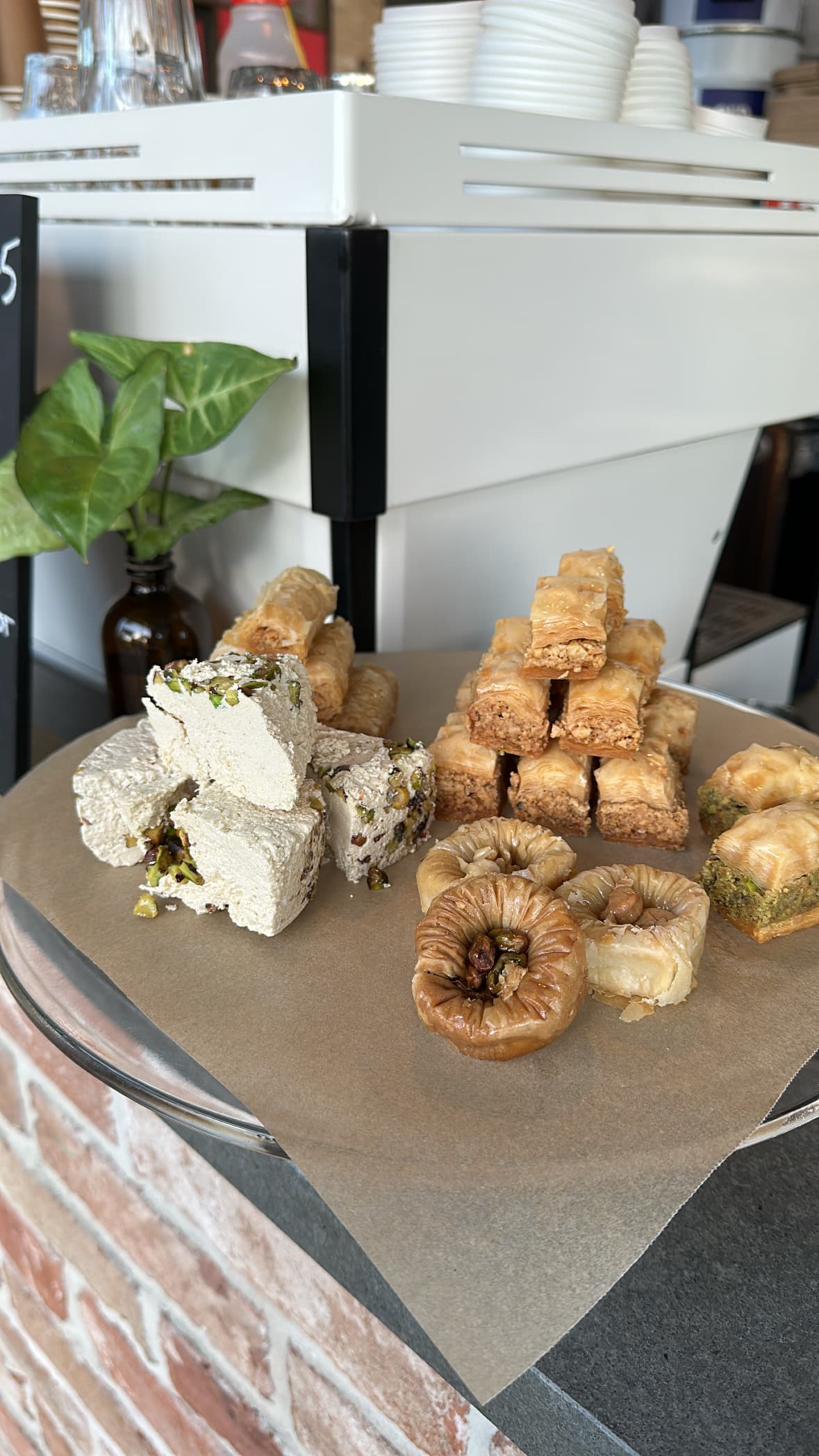 Little Byronian photo 2