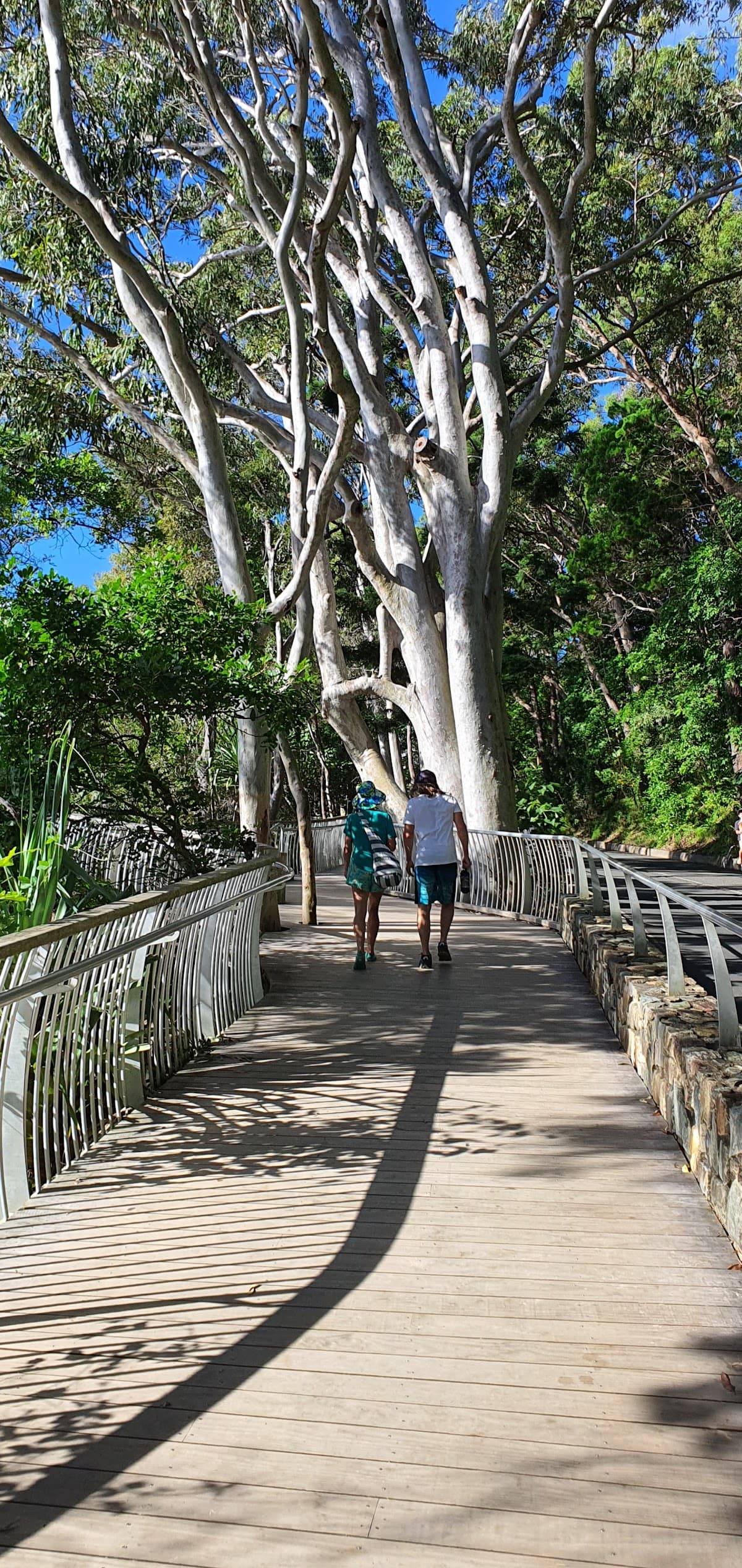 Little Cove beach photo 4