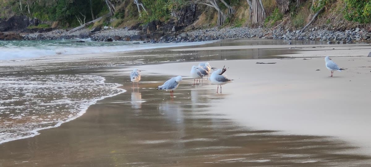 Little Cove beach photo 5