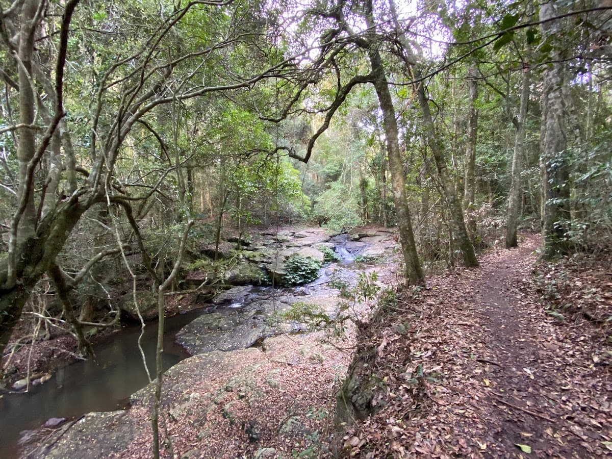 Morans Falls photo 4