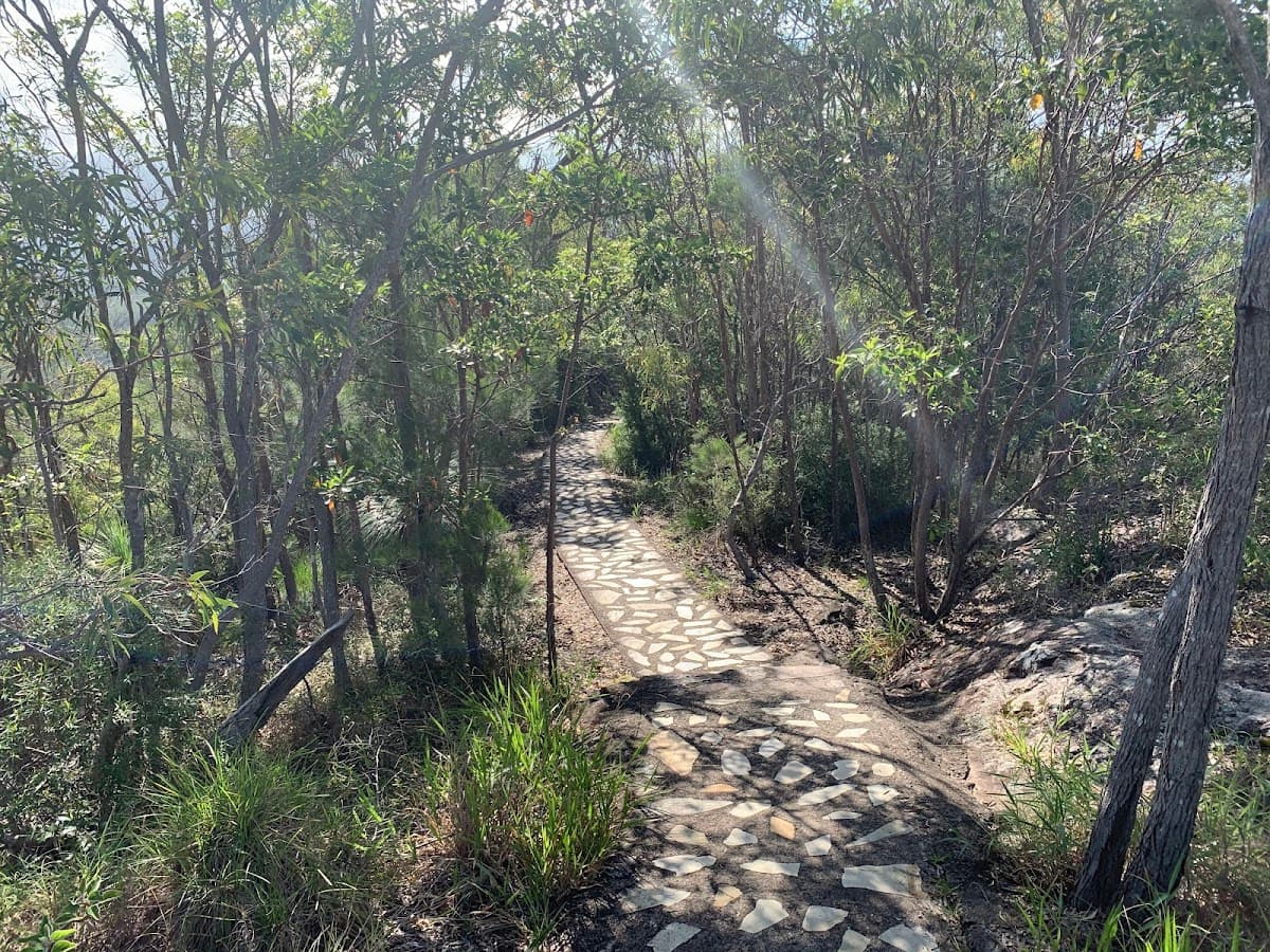 Mount Tinbeerwah Lookout photo 3