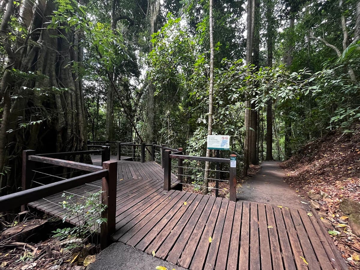 Natural Bridge, Springbrook National Park photo 5