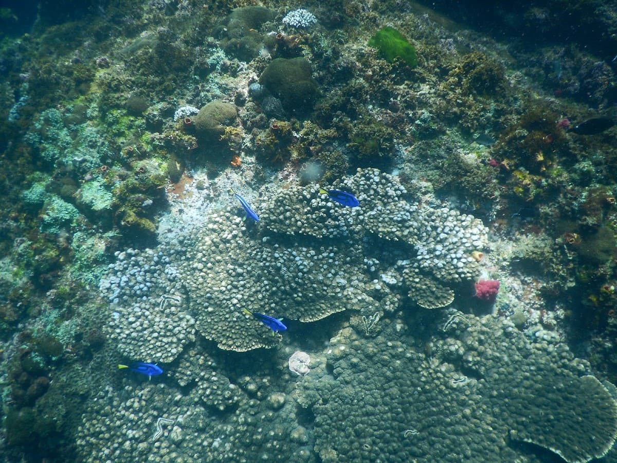 Nguthungulli Julian Rocks Nature Reserve photo 5