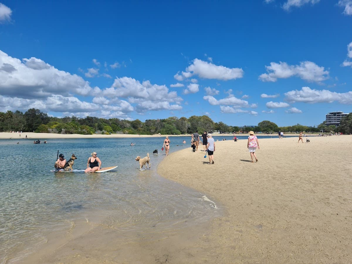 Palm Beach Dog Off-Leash Beach photo 4