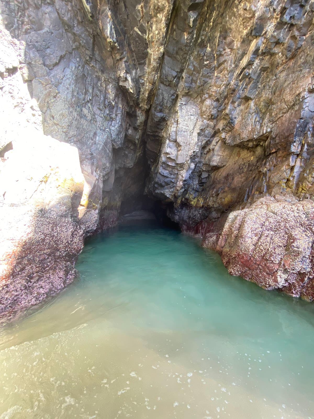 Paradise Caves photo 2