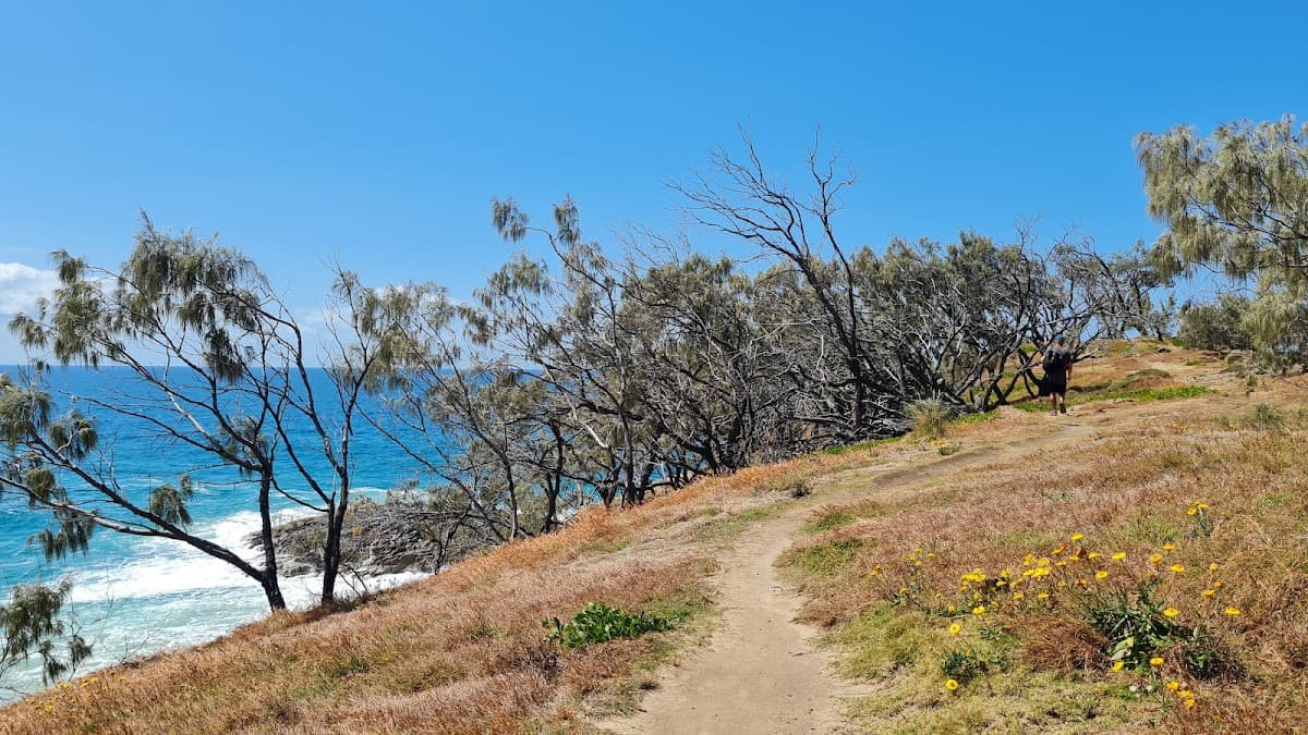 Paradise Caves photo 5