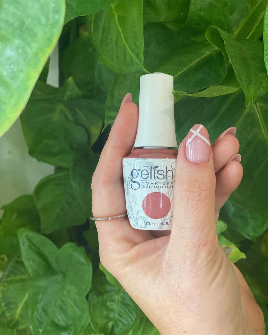 Paradiso Skin & Beauty Studio photo 4