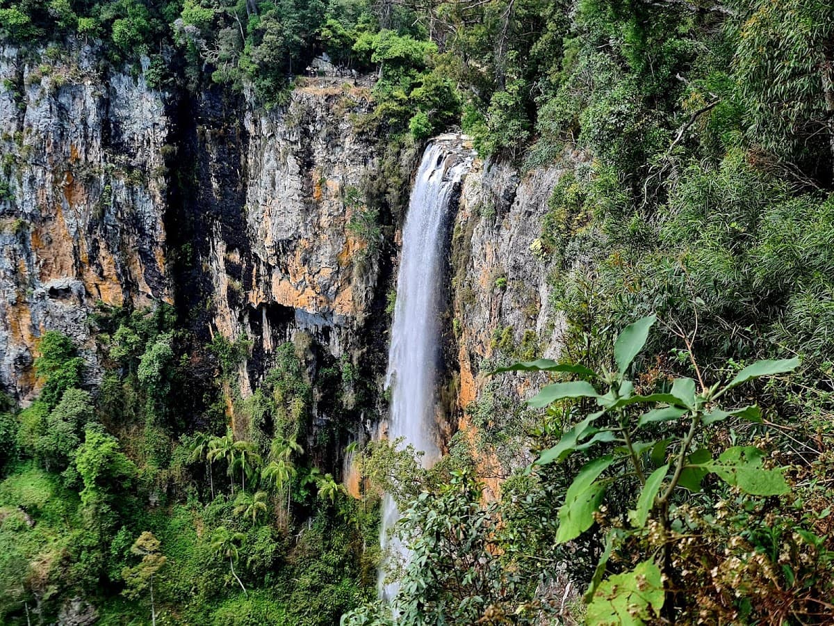 Purling Brook Falls, Springbrook National Park photo 2