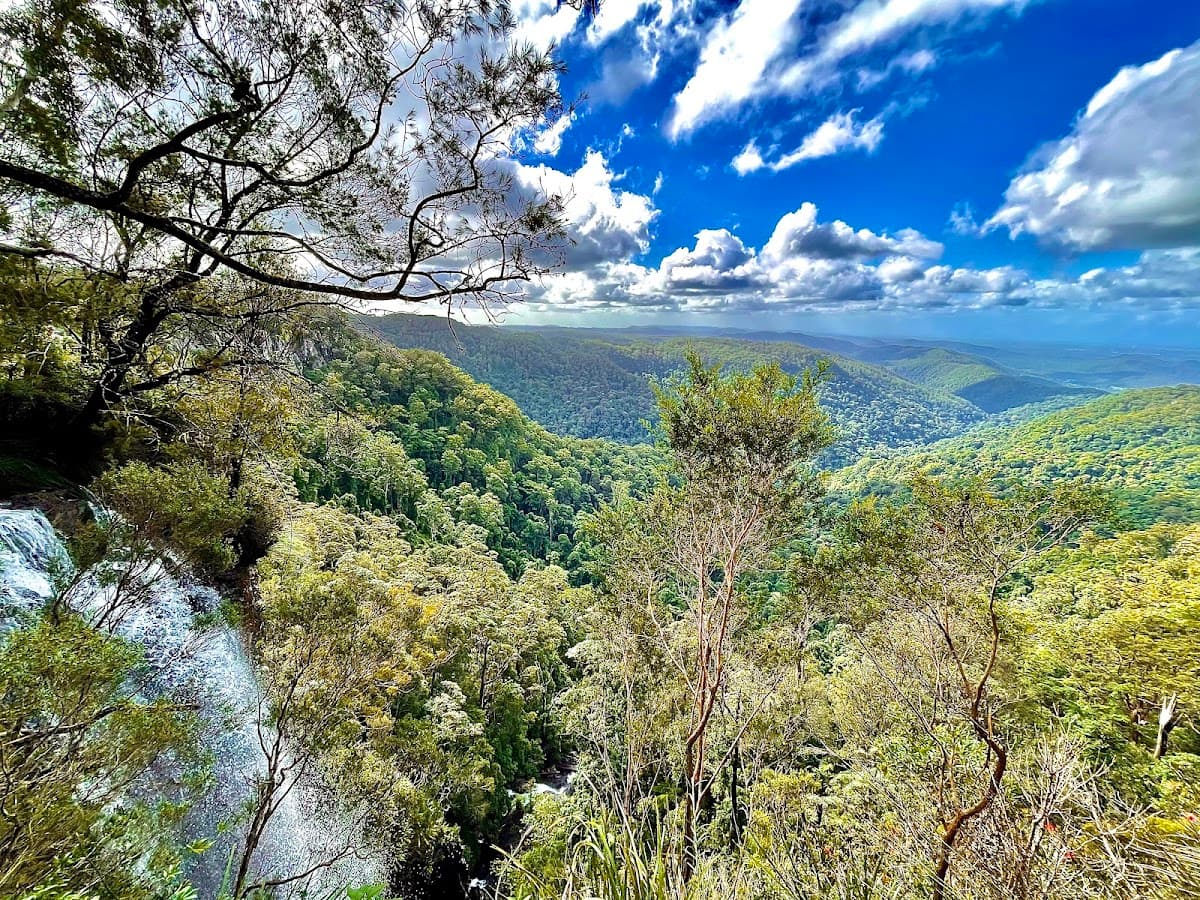 Purling Brook Falls, Springbrook National Park photo 3