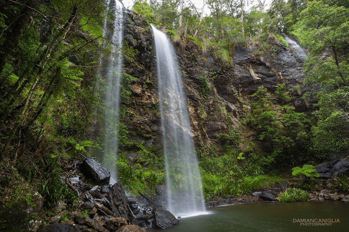 Springbrook National Park photo 2