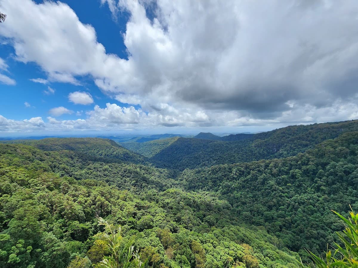 Springbrook National Park photo 3