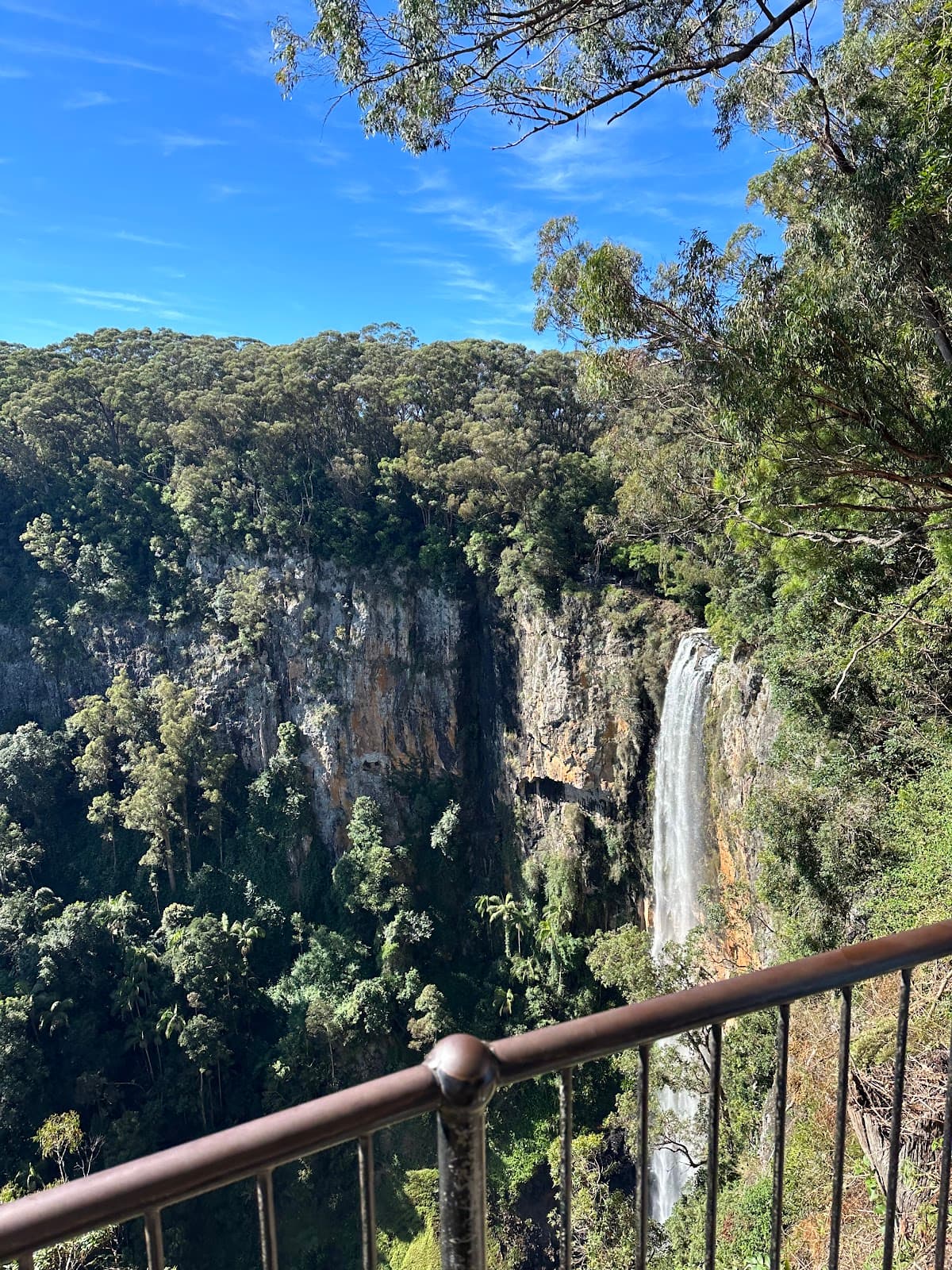 Springbrook National Park photo 4