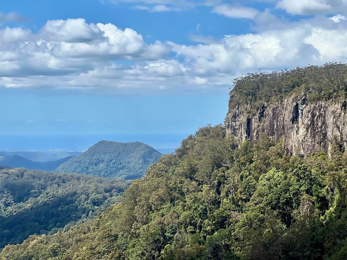 Springbrook National Park photo 5