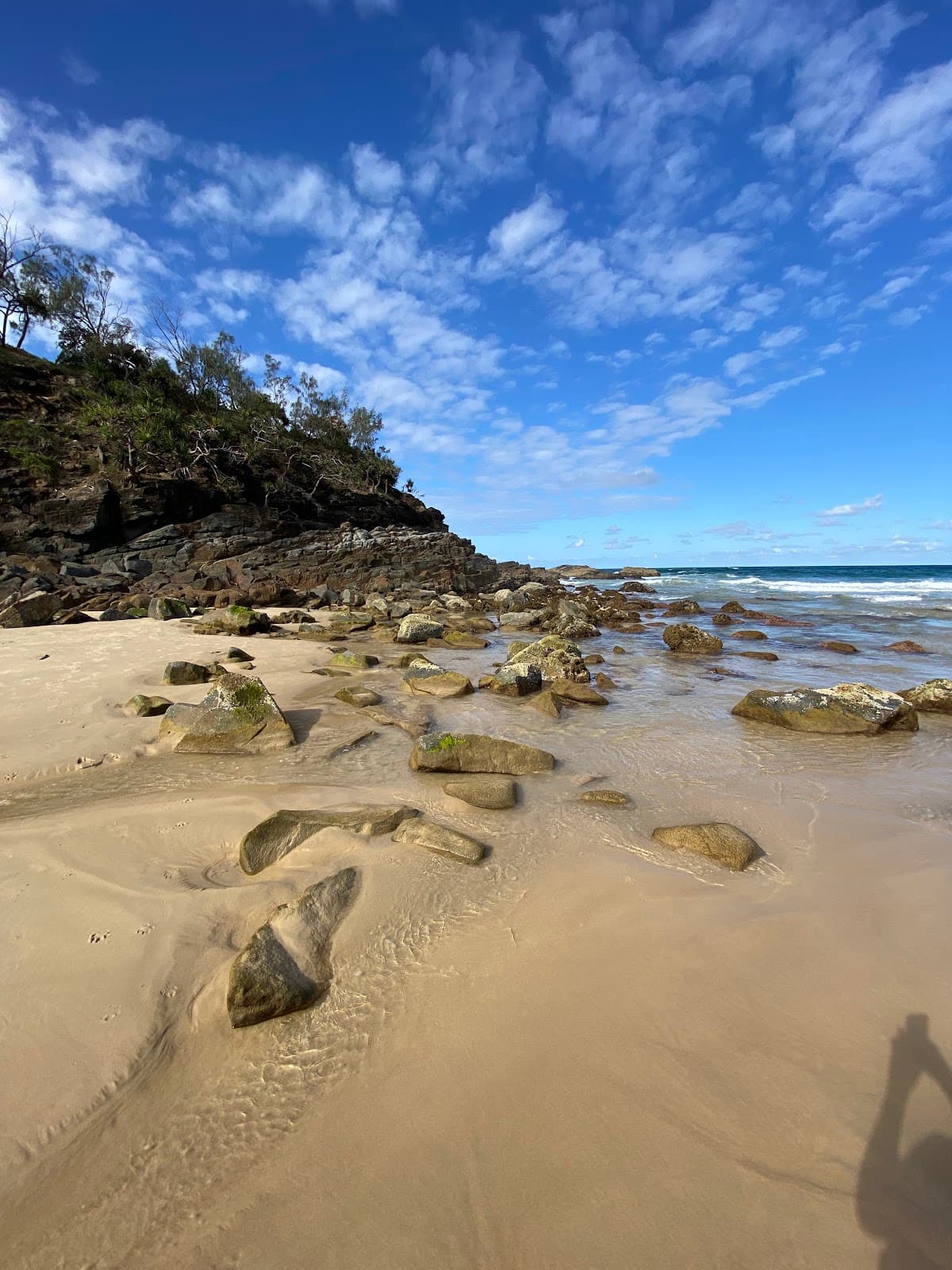Sunshine Beach Dog Off Leash Area - Beach Access #29 and North photo 3
