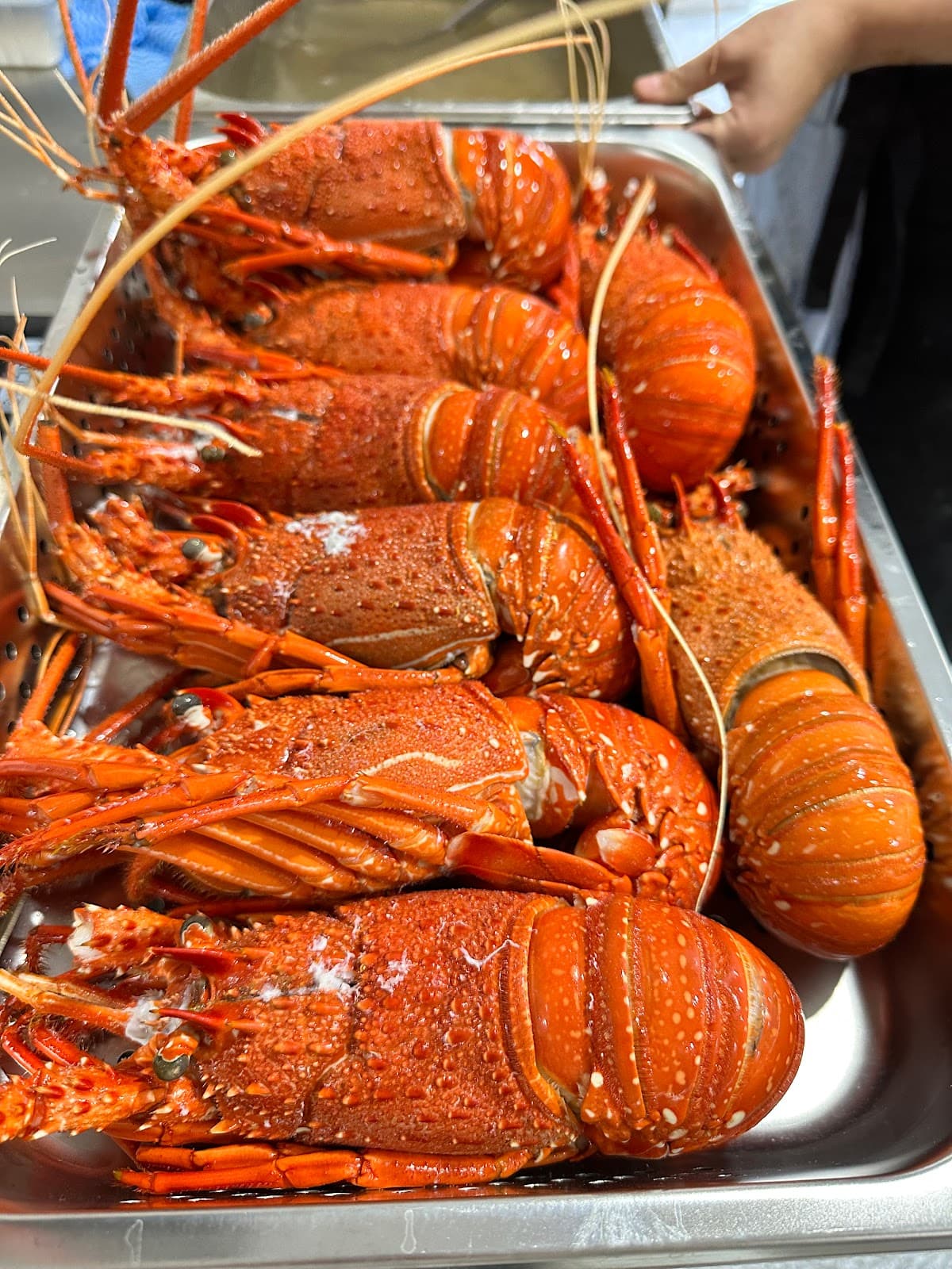 Tarte Beach House photo 2