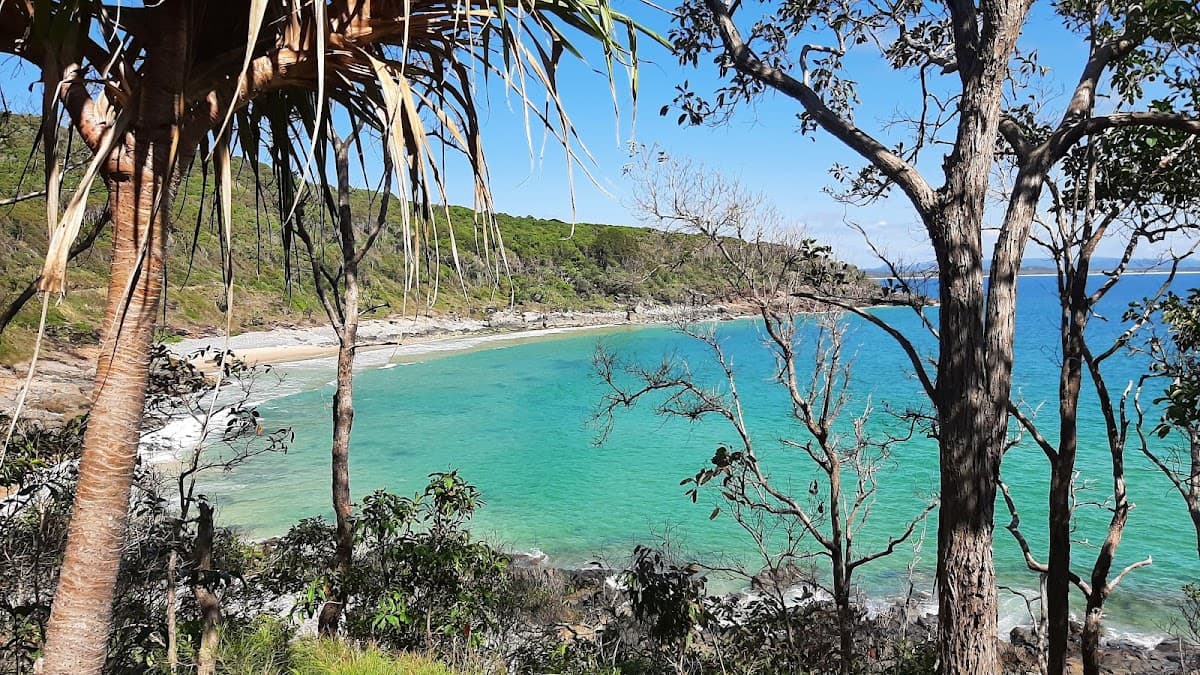 Tea Tree Bay Beach photo 2