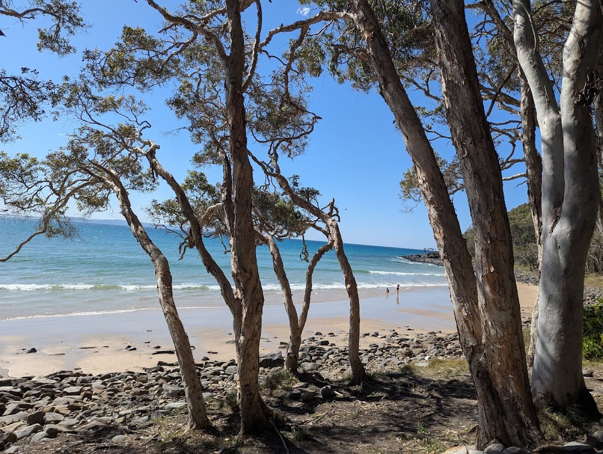 Tea Tree Bay Beach photo 3