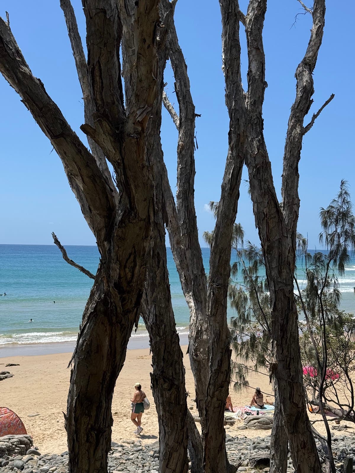 Tea Tree Bay Beach photo 4