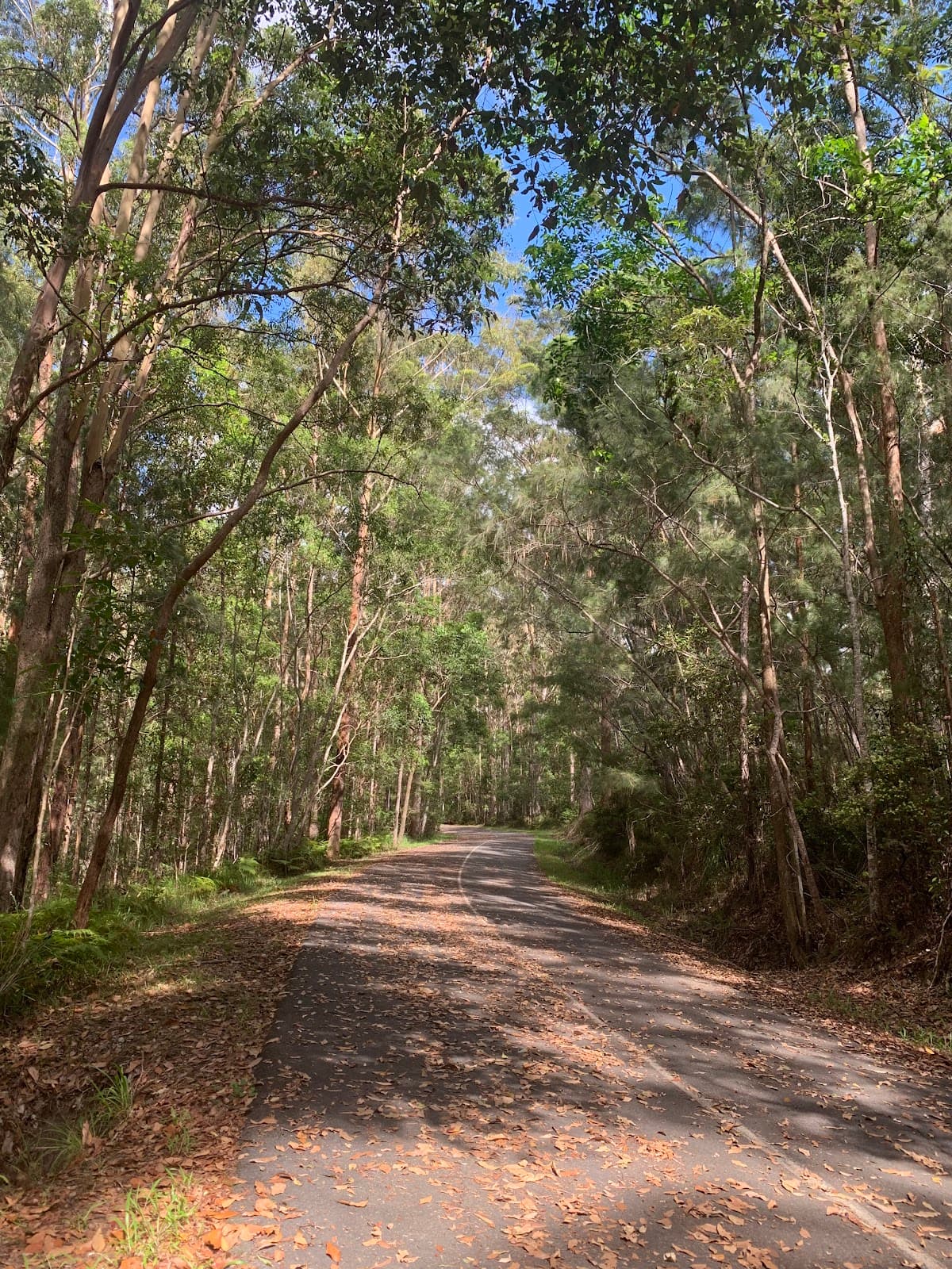 Tewantin National Park