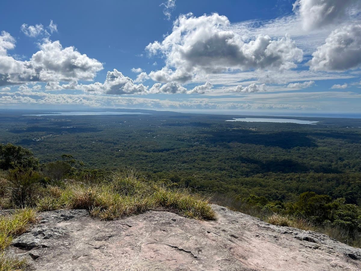 Tewantin National Park photo 2