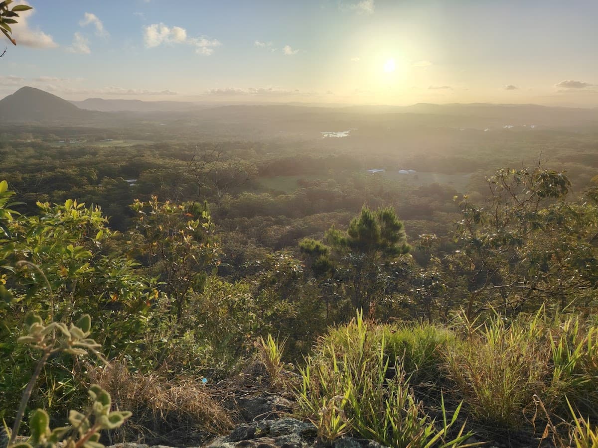 Tewantin National Park photo 5