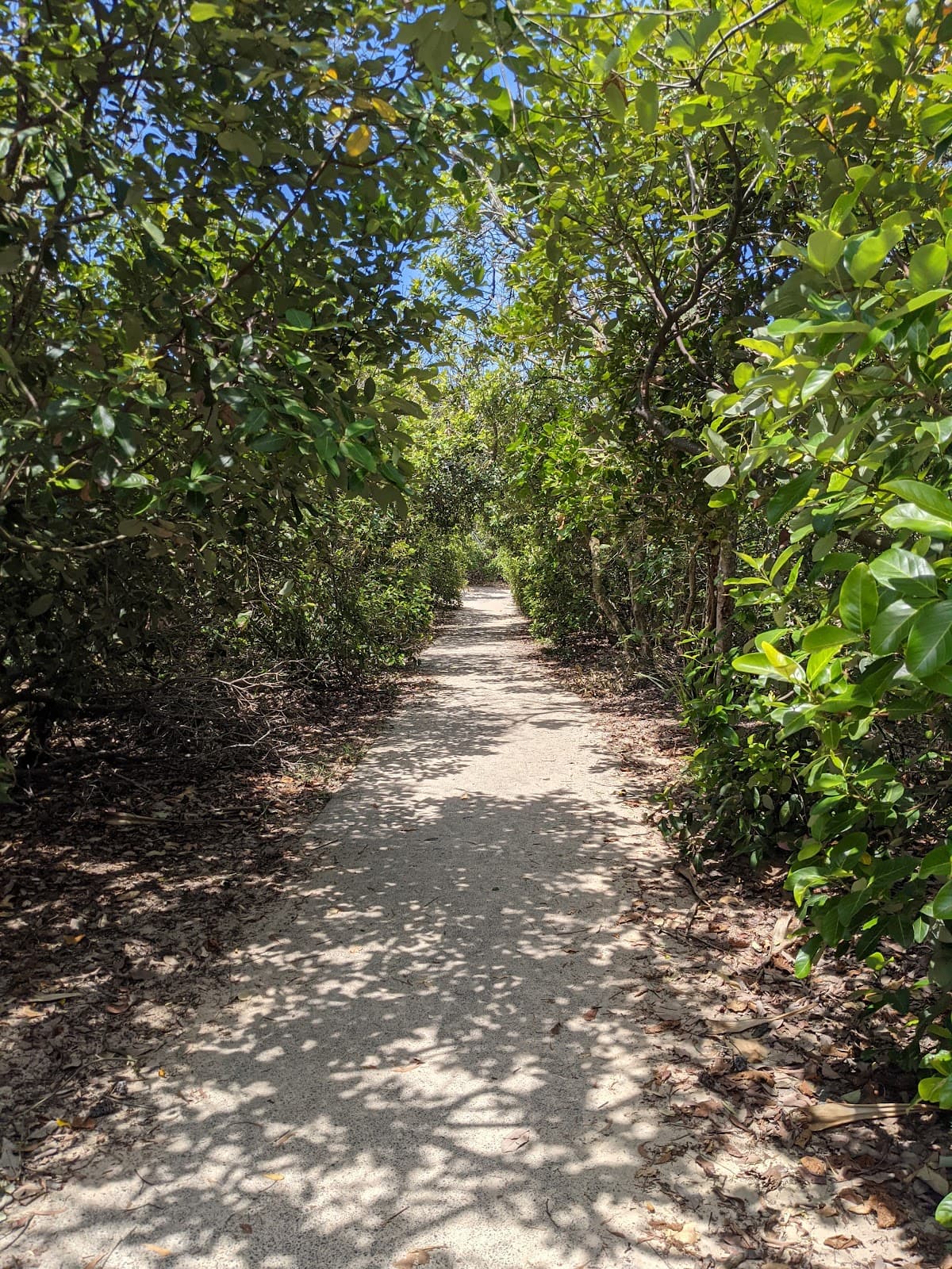 Victory Park photo 3